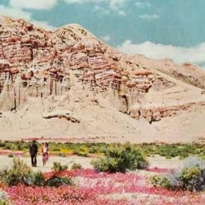 Meet your Posher, Lara